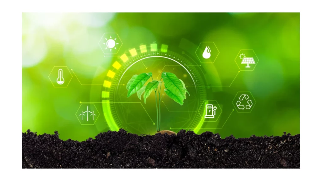 Biomass As a Green Energy Source