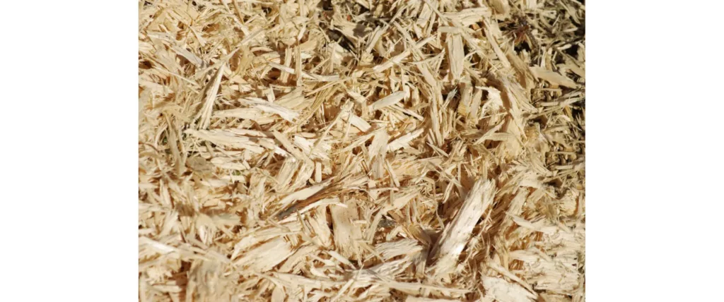 Biomass As a Renewable Energy Source - sawdust