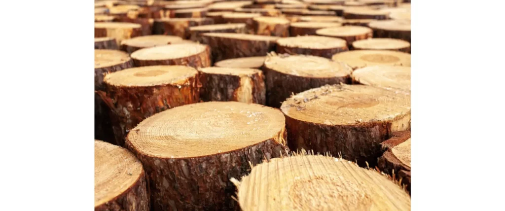 Biomass As a Renewable Energy Source - wood