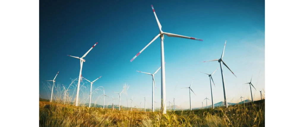 The Importance of Renewable Energy - wind energy