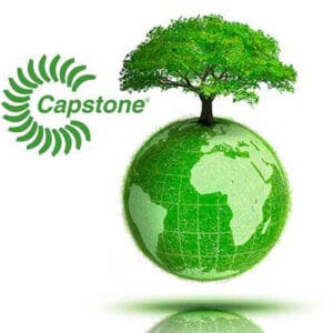 Capstone Green Power Corporation