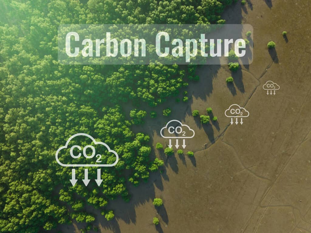 Advances in Carbon Capture Technology