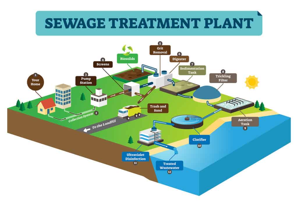 Sewage Biomass