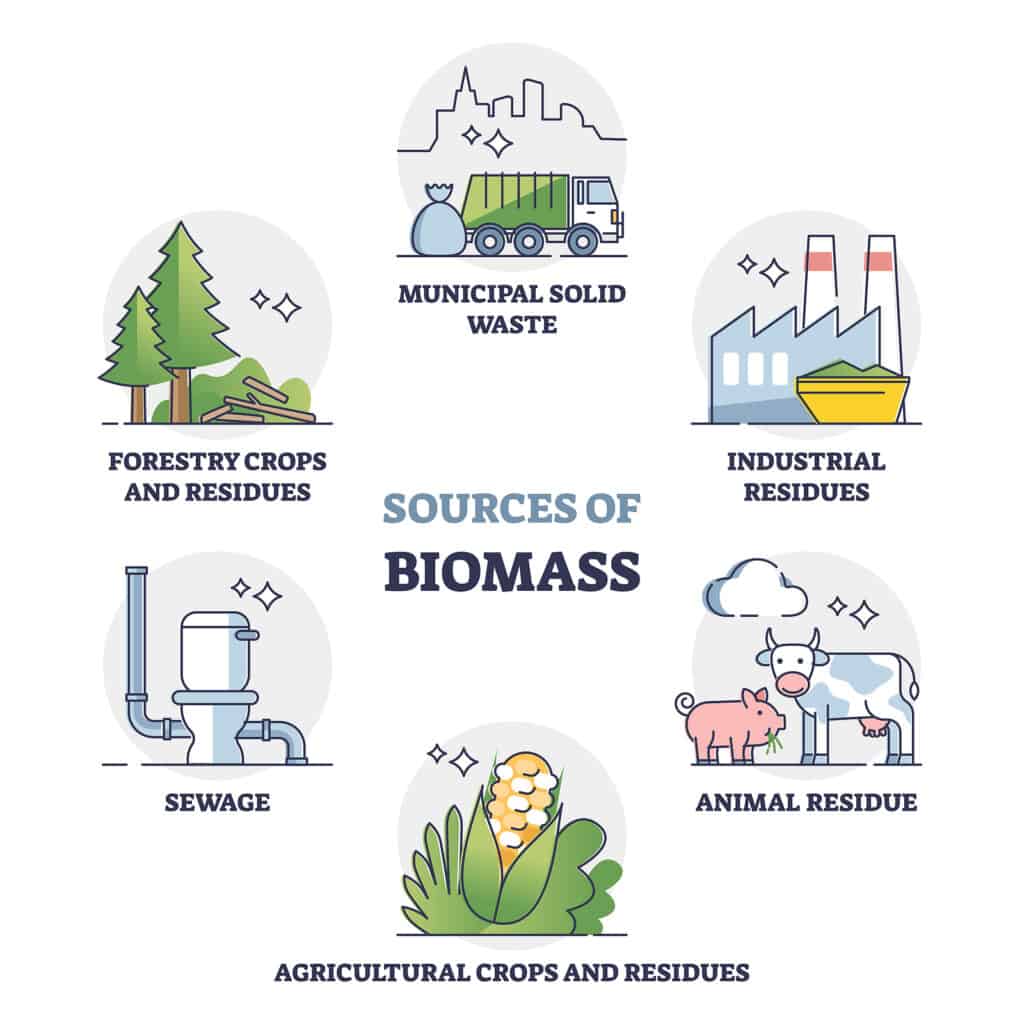 Sewage Biomass