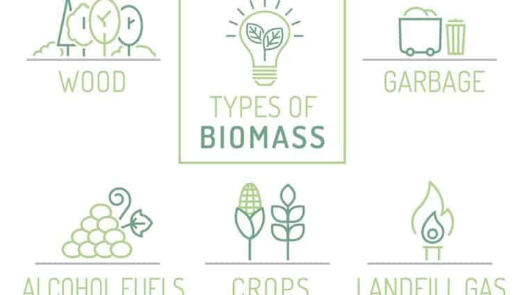 Types of Biomass Energy