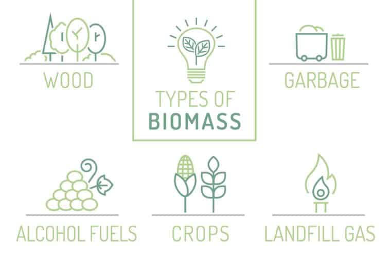 Types of Biomass Energy