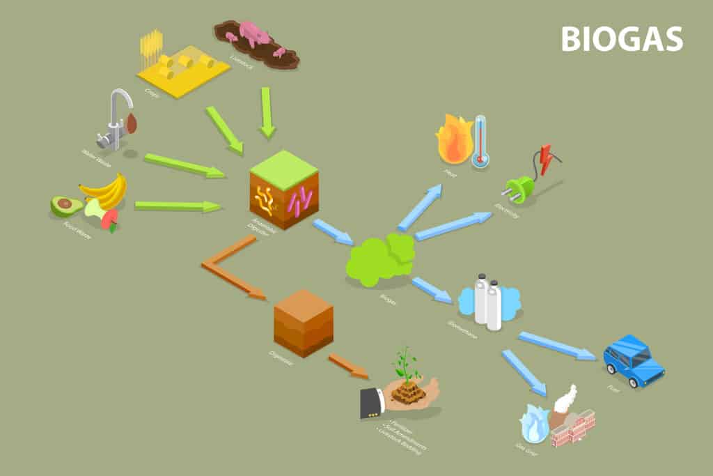 Biomass Energy Systems