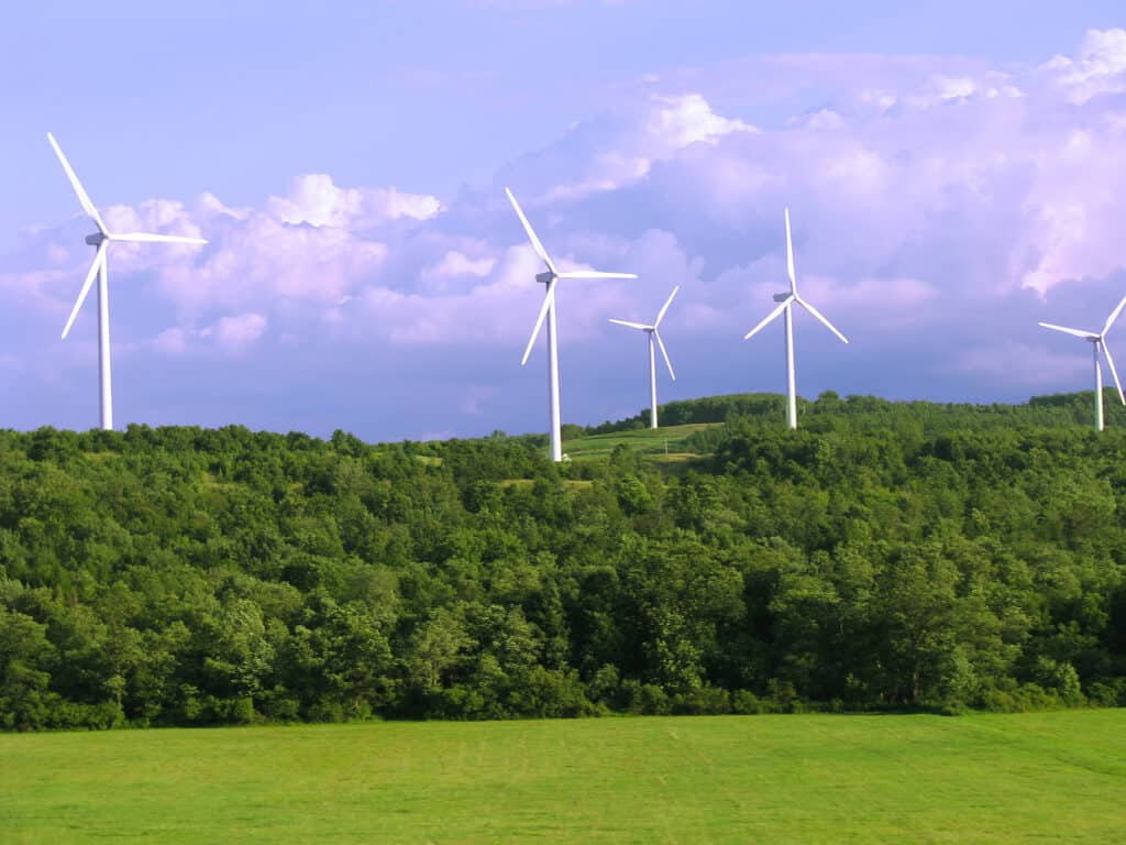 Investing in Wind Farms