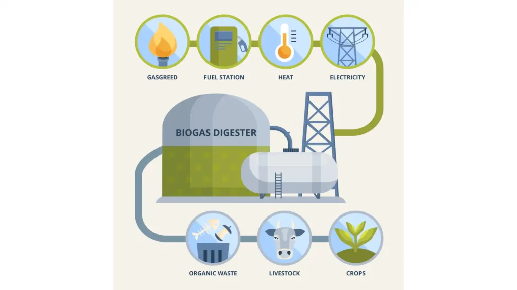 5 Uses of Biomass Energy 1