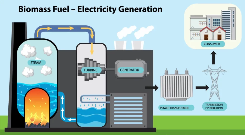 5 Uses of Biomass Energy