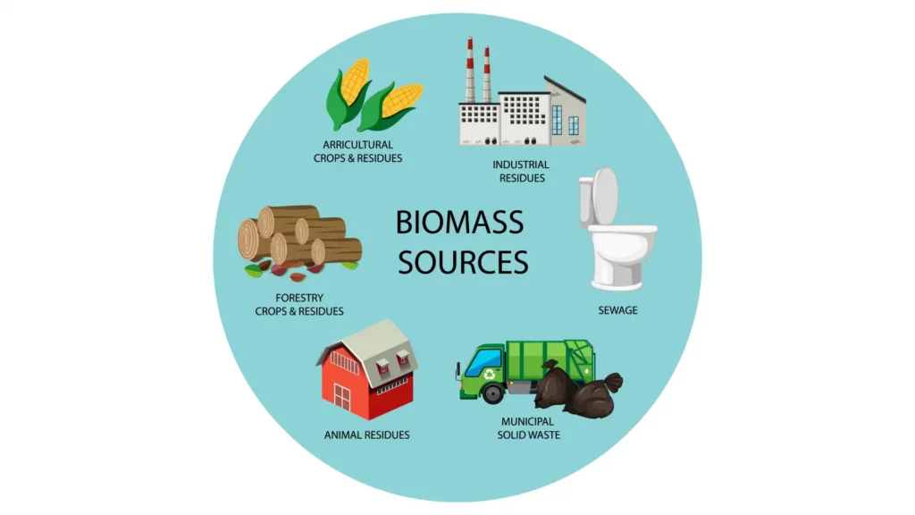 Biomass Energy in Australia