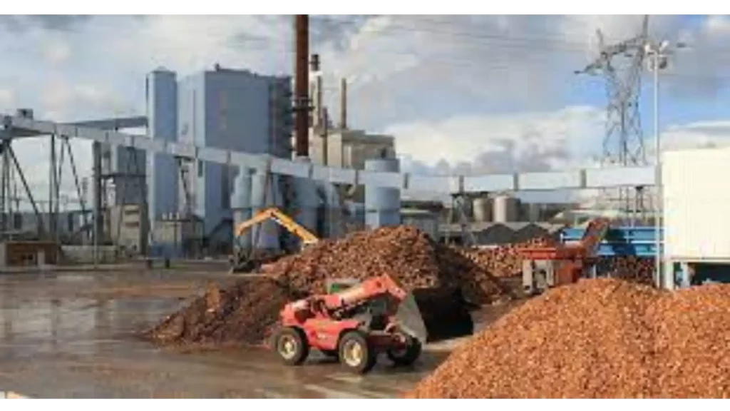 Austin Energy Biomass Plant