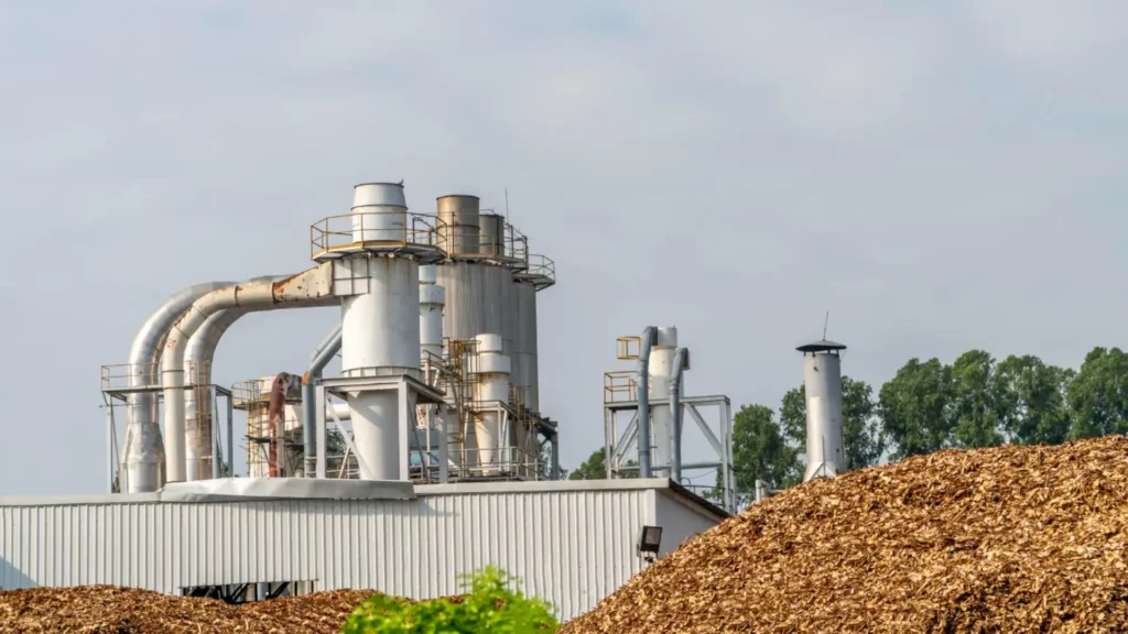 Biomass Energy Companies