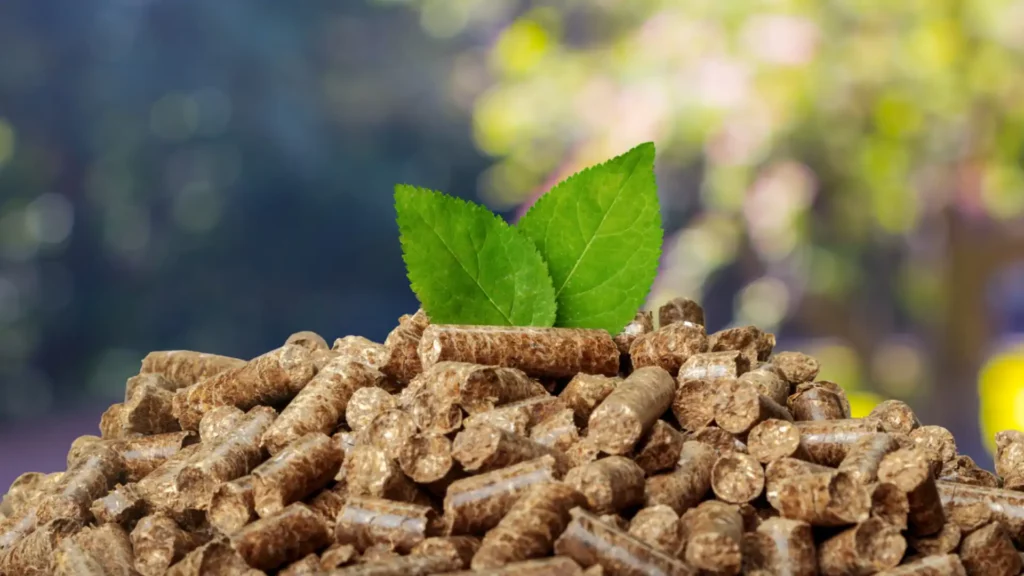 Biomass Energy Transformation
