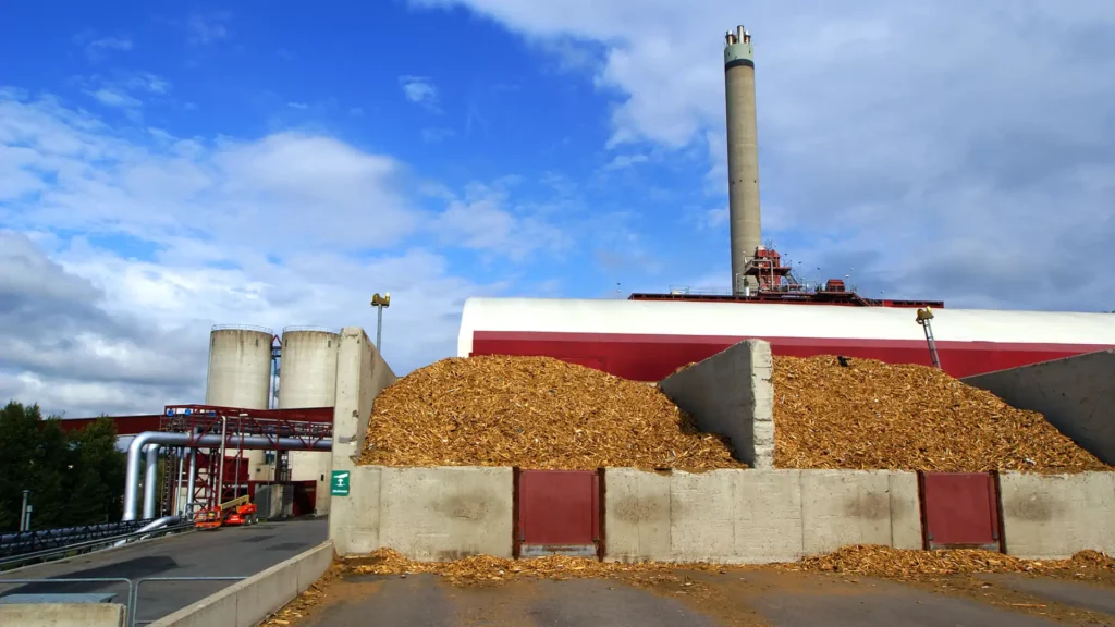Biomass Energy Transformation