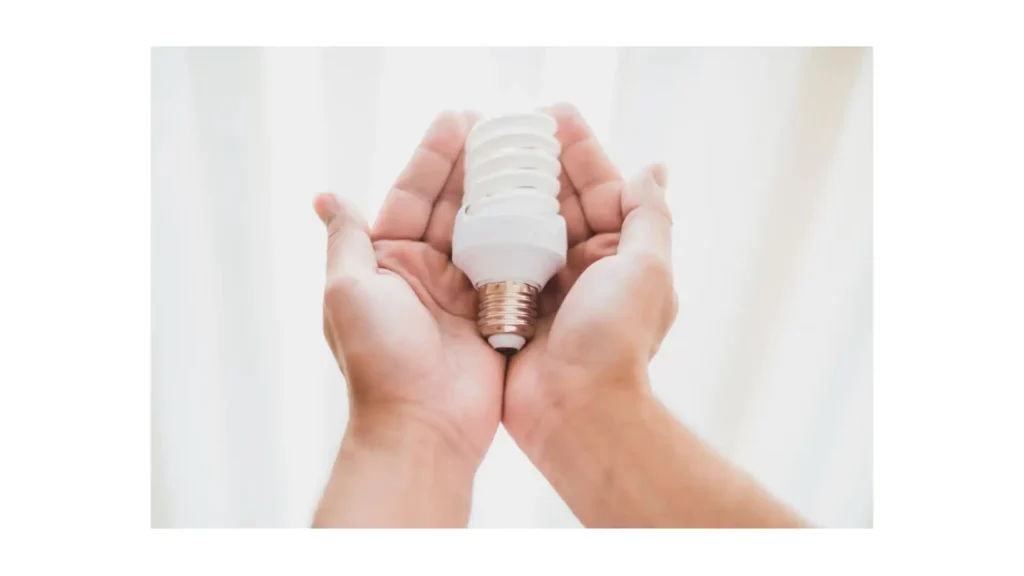 CFL Light Bulb Efficiency