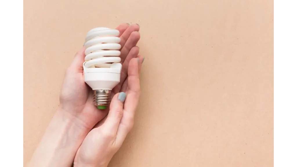 Pros and Cons of Energy Efficient Light Bulbs