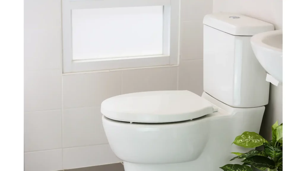 Low Flush Toilet Water Savings