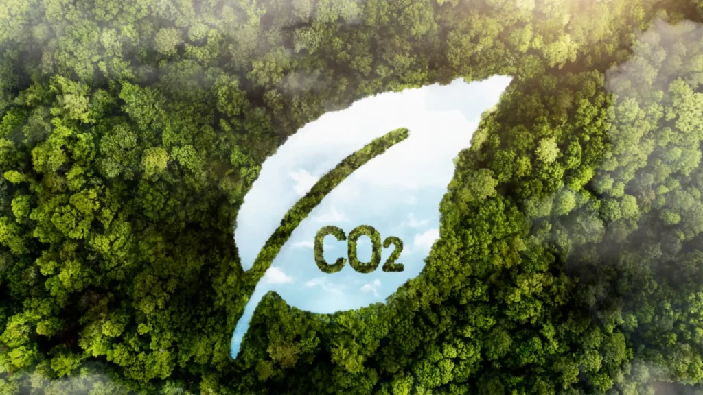 Bioenergy Carbon Capture Storage