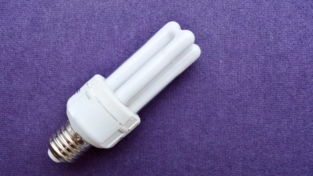 CFL Light Bulb Efficiency
