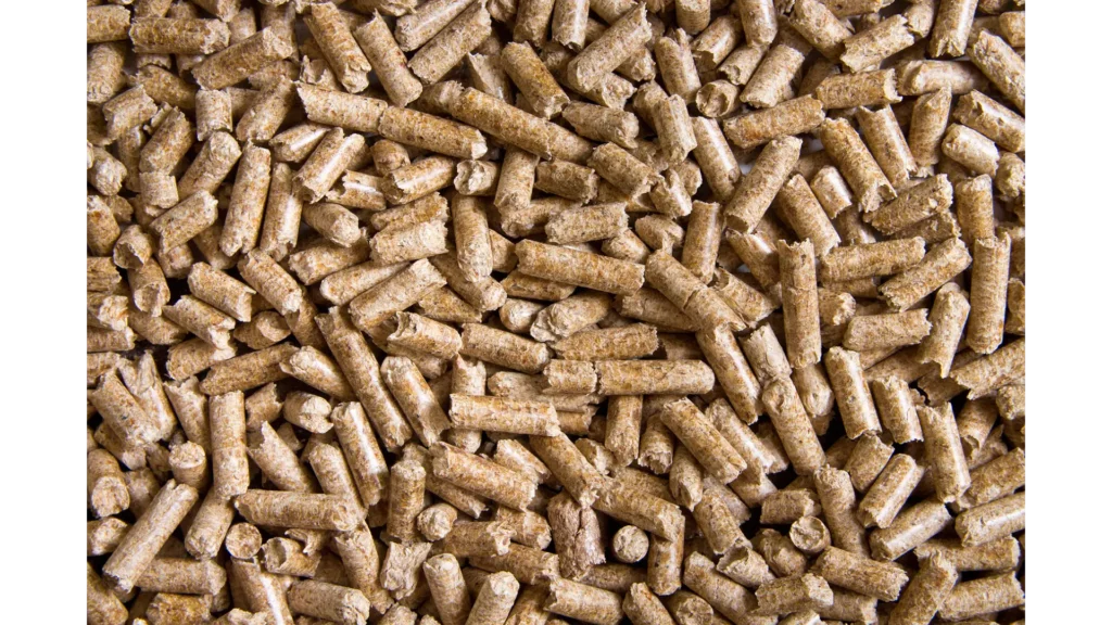 Biomass Energy Production in India