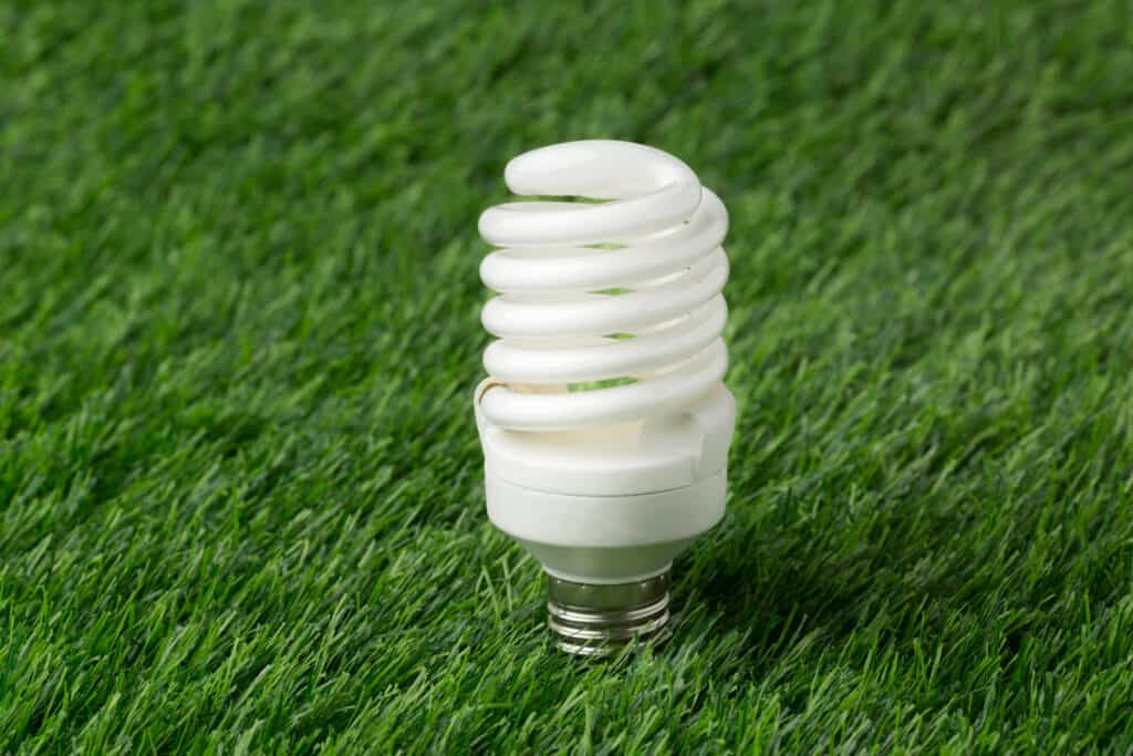 Benefits of Energy Efficient Light Bulbs