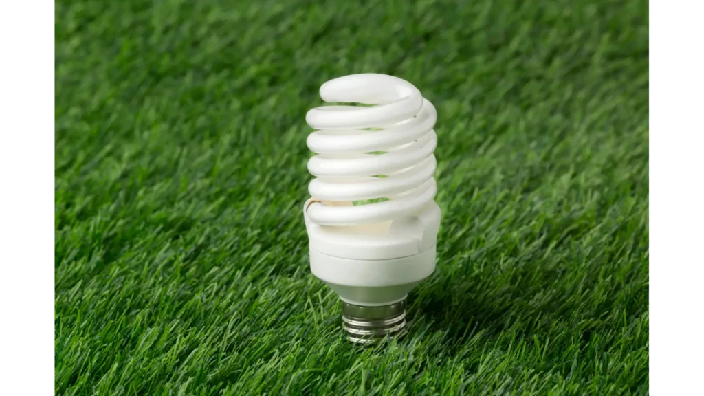 Energy Efficient Lighting and Appliances