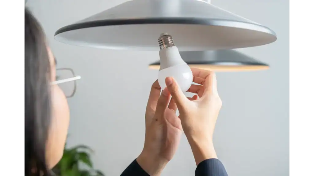 Are Fluorescent Light Bulbs Energy Efficient