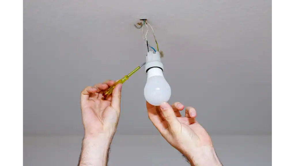 Are Fluorescent Light Bulbs Energy Efficient