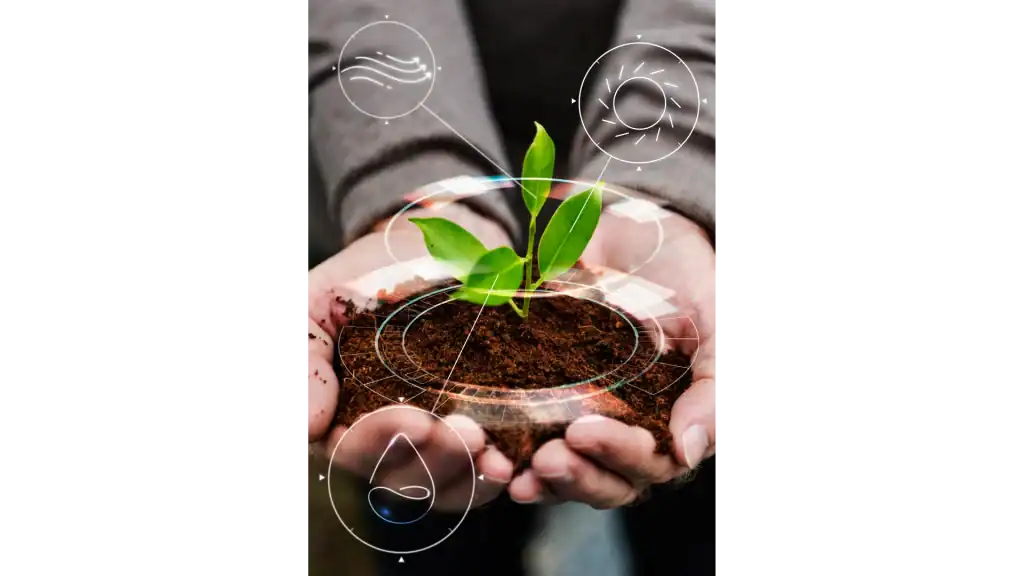 Biomass Energy UK