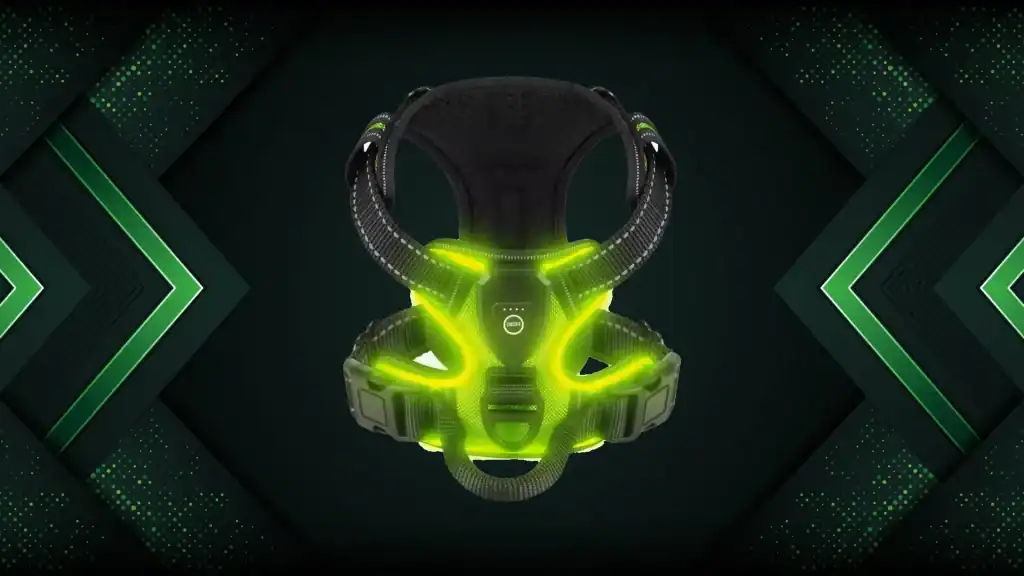 RadPaws LED Harness Review RadPaws LED Harness Review