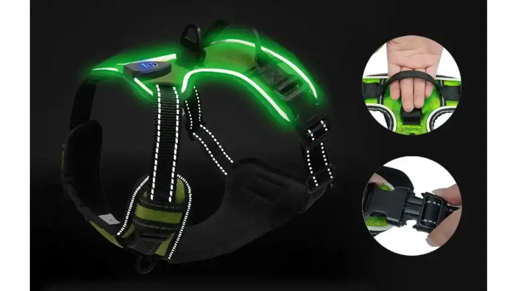 RadPaws LED Harness Review