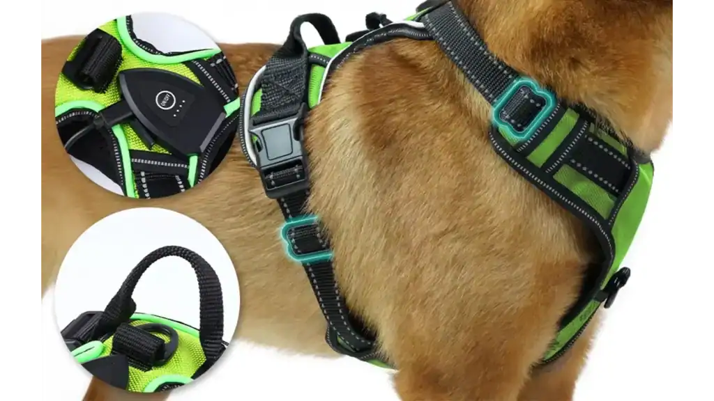 RadPaws LED Harness Review