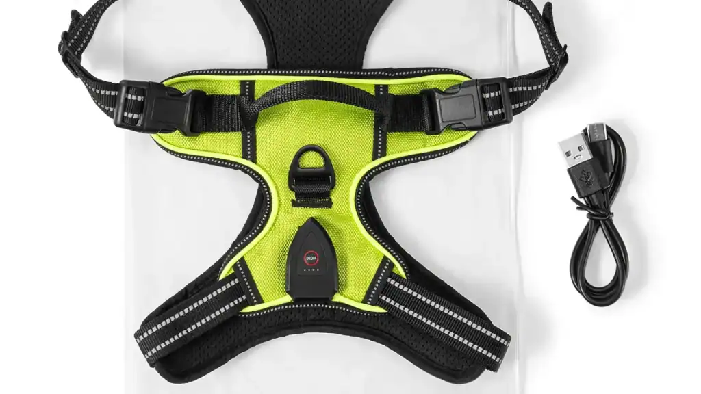 RadPaws LED Harness Review
