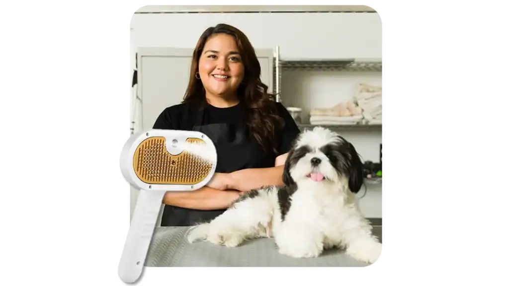 Steam Brush Review