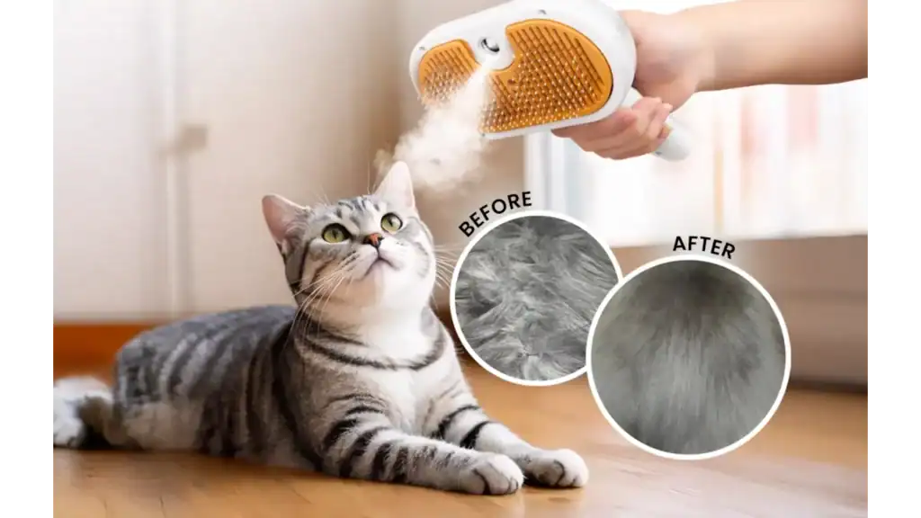 Steam Brush Review